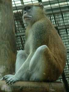 ZooParc Beauval in St-Aignan