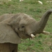 ZooParc Beauval in St-Aignan