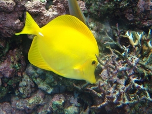 ZooParc Beauval in St-Aignan