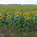 Onderweg naar Chambord