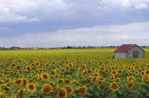 Onderweg naar Chambord