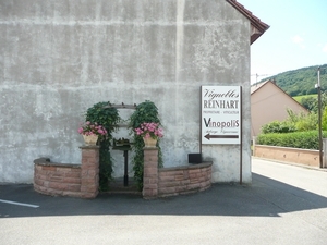 P1010591