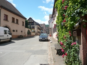 P1010594