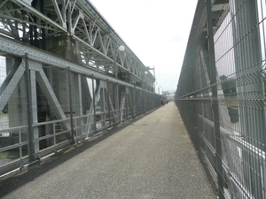 P1010805