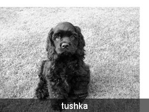 tushka