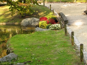 Chrysanten in de Japanse tuin 2009 011
