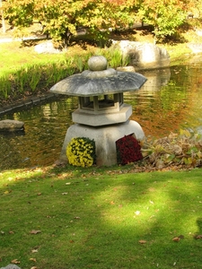 Chrysanten in de Japanse tuin 2009 014