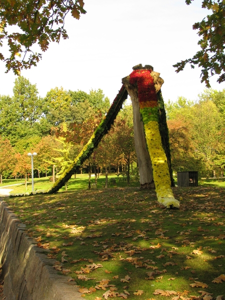 Chrysanten in de Japanse tuin 2009 020