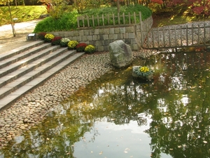 Chrysanten in de Japanse tuin 2009 039