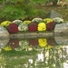 Chrysanten in de Japanse tuin 2009 041