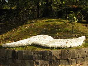 Chrysanten in de Japanse tuin 2009 054