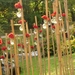 Chrysanten in de Japanse tuin 2009 067