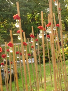 Chrysanten in de Japanse tuin 2009 067
