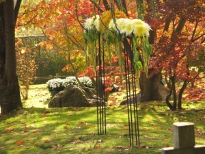 Chrysanten in de Japanse tuin 2009 078