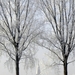 WINTER BEKE 009