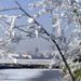 WINTER BEKE 016