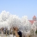 WINTER BEKE 019 - kopie
