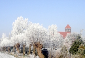 WINTER BEKE 019 - kopie