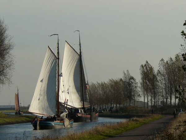 Bietentocht 079