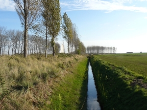 Bietentocht 081