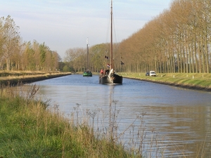 Bietentocht D 006