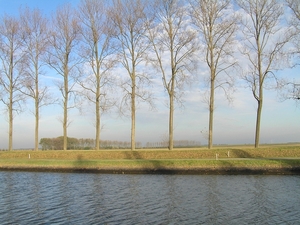 Bietentocht D 019