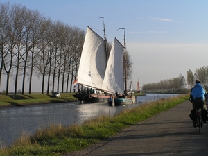 Bietentocht D 029