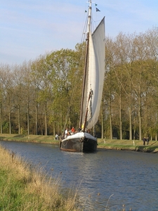 Bietentocht D 039