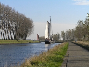 Bietentocht D 066