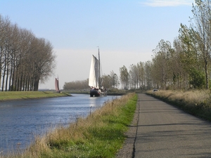 Bietentocht D 067