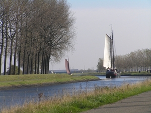 Bietentocht D 069