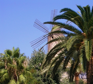 Mallorca 2 038