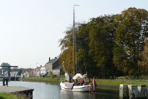 Bietenrace 005