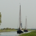 Bietenrace 015