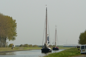 Bietenrace 015