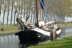 Bietenrace 016