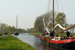 Bietenrace 033