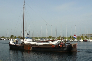 Bietenrace 037