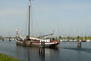 Bietenrace 042