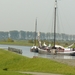 Bietenrace 045