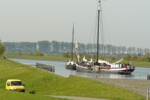 Bietenrace 045