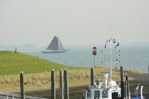 Bietenrace 048