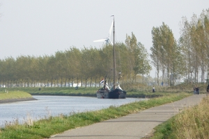 Bietenrace 055