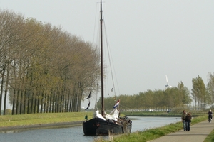 Bietenrace 056