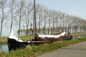 Bietenrace 058