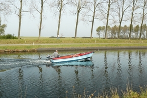 Bietenrace 061