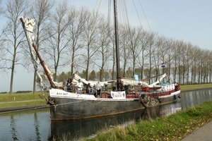 Bietenrace 069