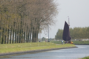 Bietenrace 076