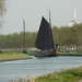 Bietenrace 077