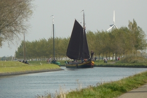 Bietenrace 077